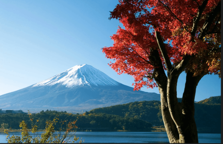 Monte Fuji con acero giapponese